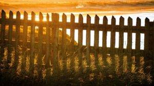 Fence boards